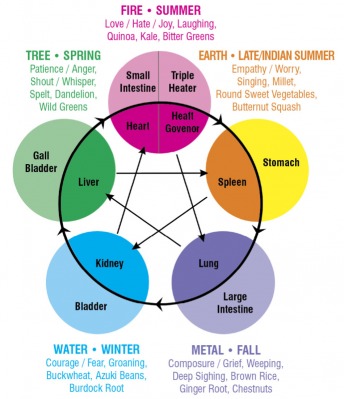 5 Elements Food Chart